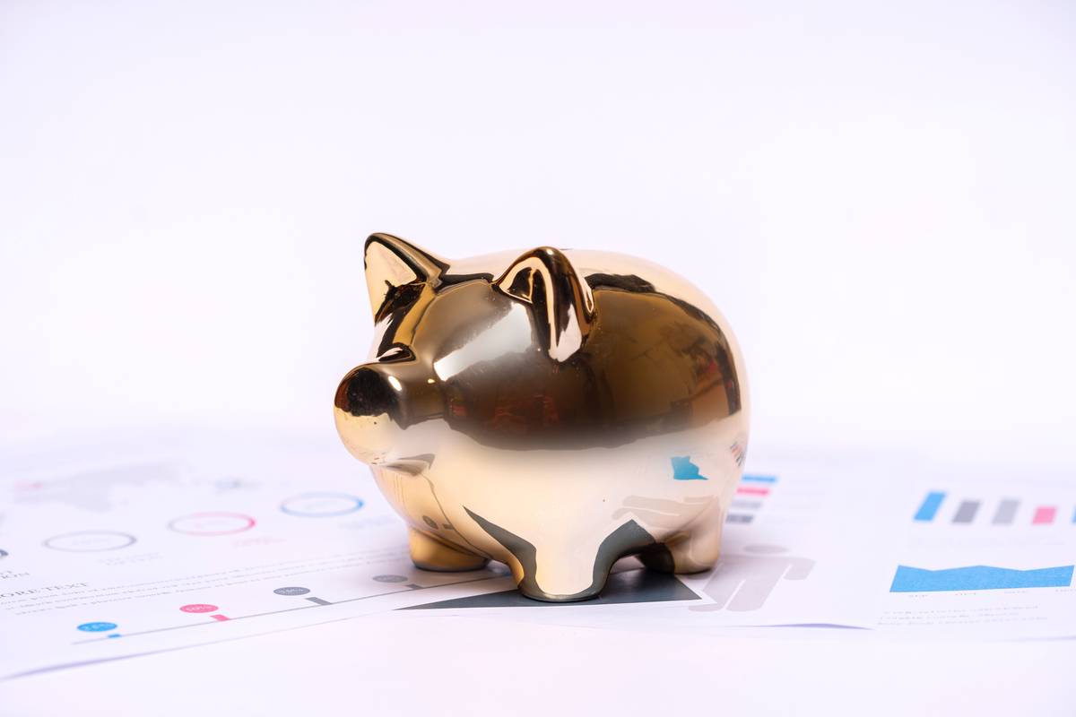 Why Your Pet Deserves a Pet Savings Fund (And How to Start One Before the Next Vet Bill Hits)